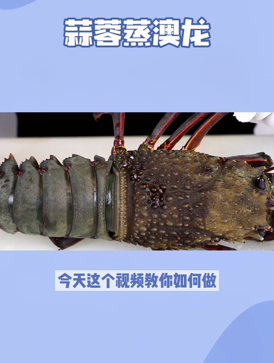 海味盛宴:蒜香粉丝蒸澳龙的完美做法,解锁鲜美秘诀