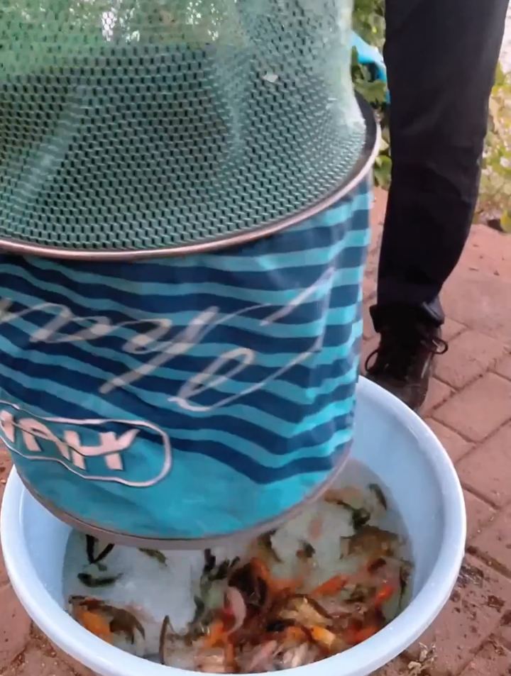 速钓白河小金鱼,钓鱼钓成摆地摊?