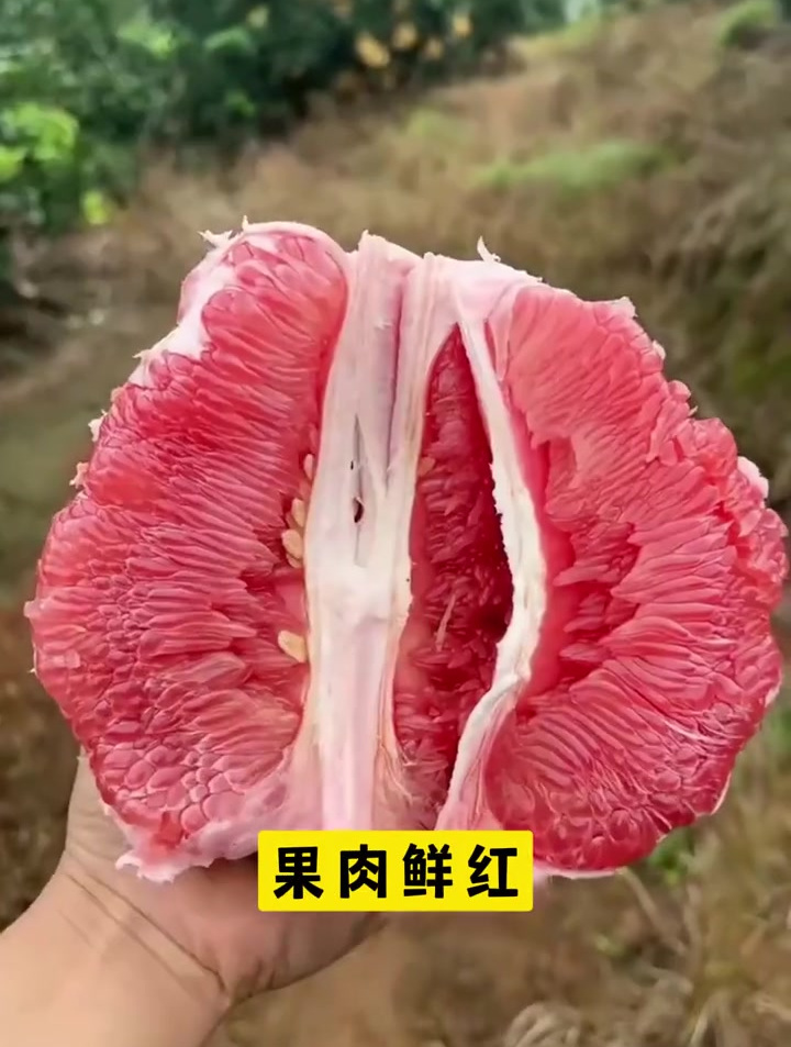 暹罗红柚红皮红肉,纯甜无酸,口口爆汁
