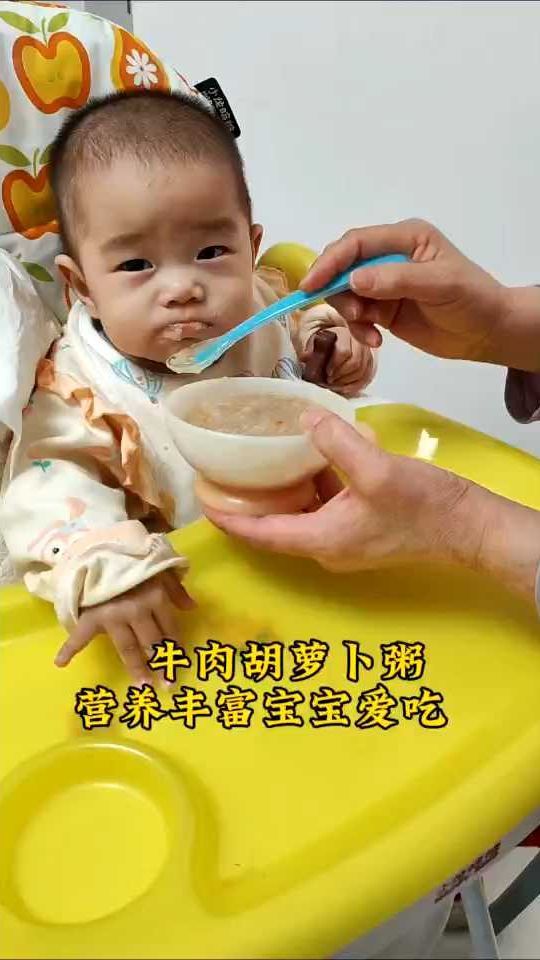 10月龄宝宝辅食牛肉胡萝卜粥,食用又养胃,好吃停不下来
