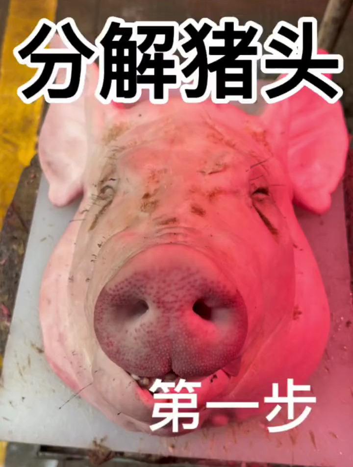 教大家如何分解一个猪头 创业 猪头肉 正宗土猪肉