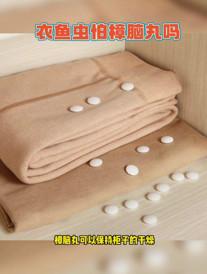 衣鱼虫怕樟脑丸吗