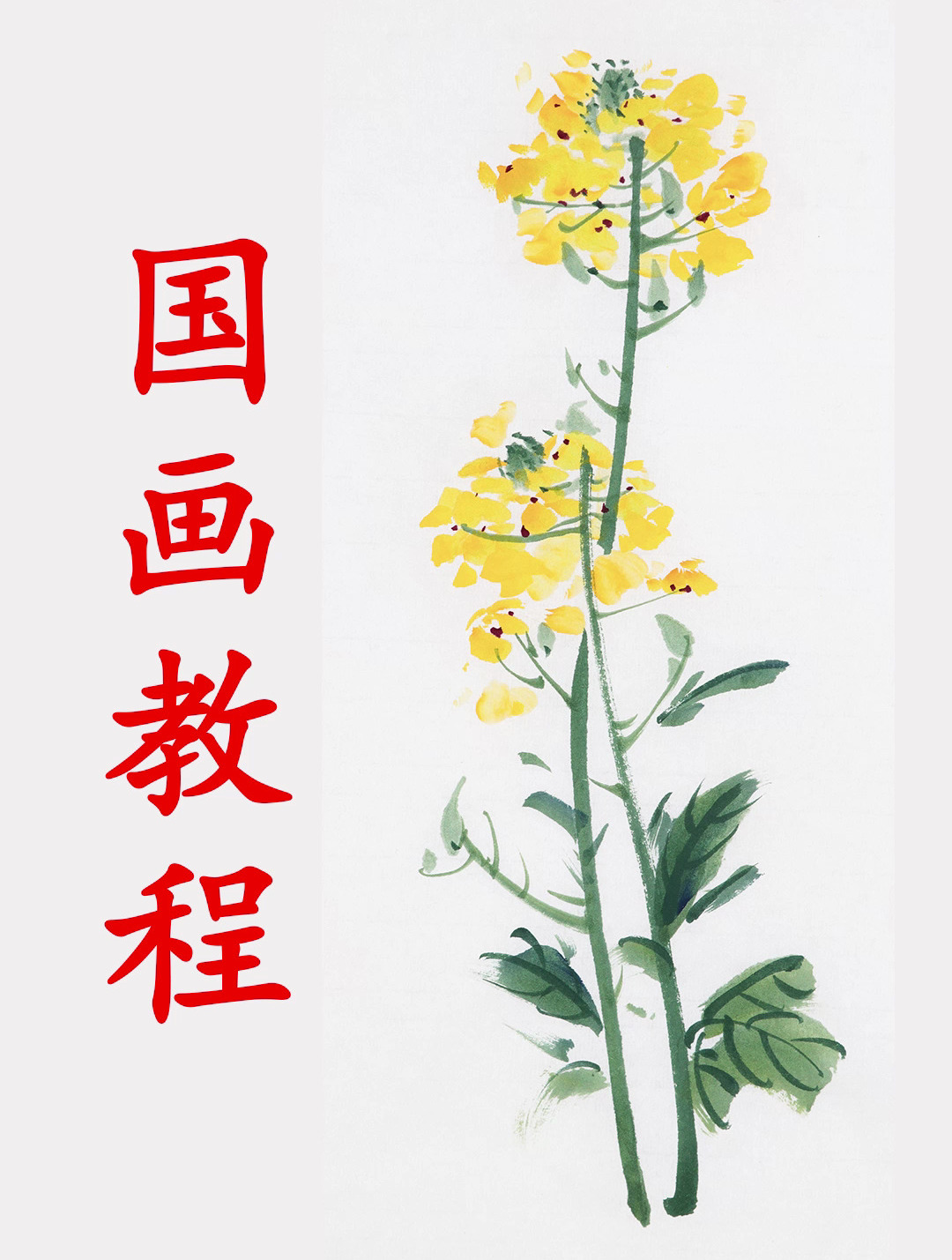 零基础能学会的油菜花详细教程