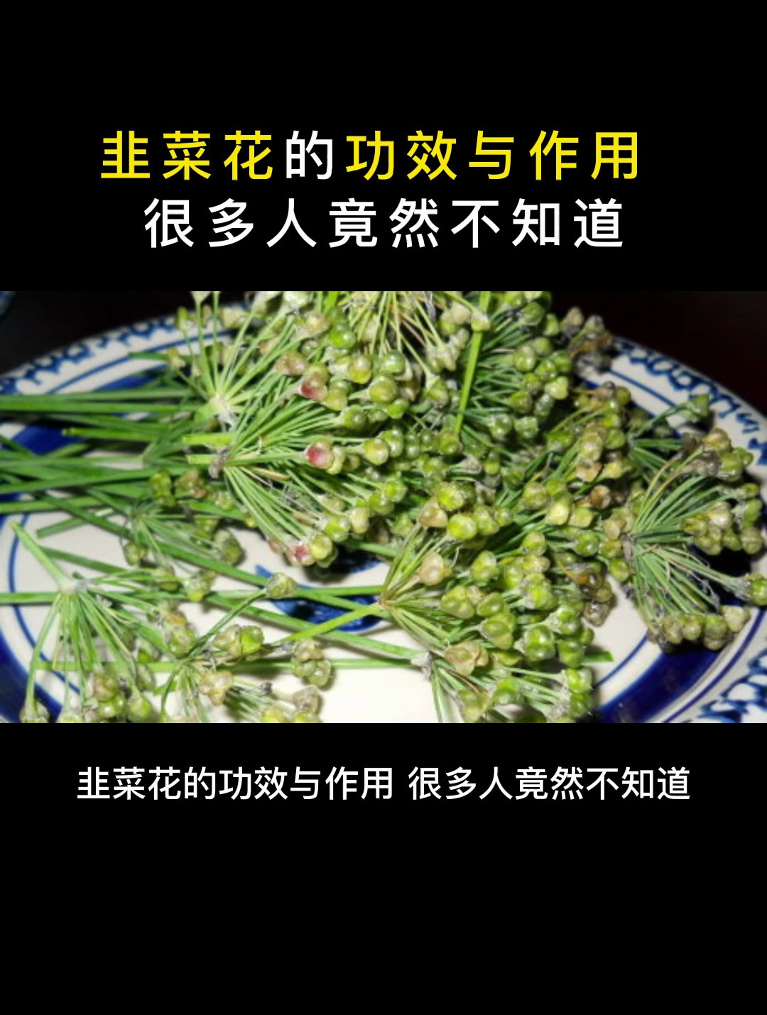 食疗:韭菜花的功效与作用,很多人竟然不知道!