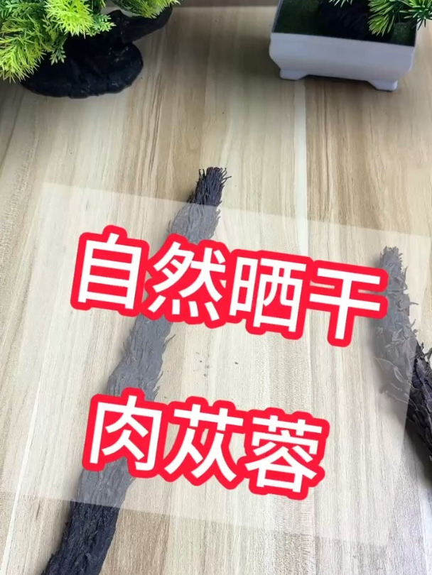 肉苁蓉,主要产地内蒙古阿拉善