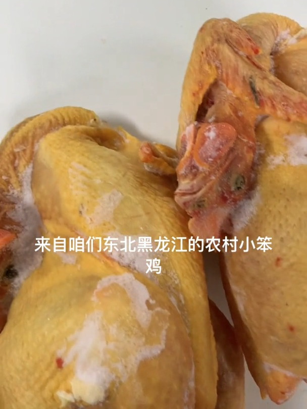 东北农村散养小笨鸡,溜达鸡,不喂料不打药鸡溜达鸡笨鸡