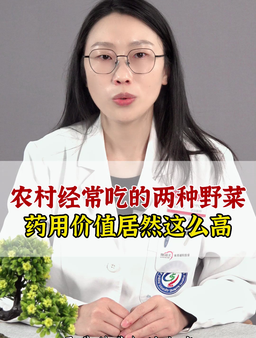 农村经常吃的两种野菜;药用价值居然这么高