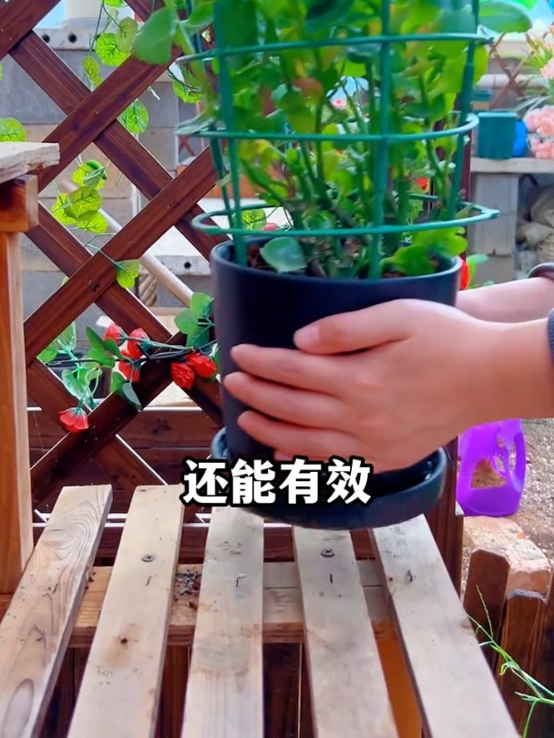 可拼接花架子,防倒伏支撑架,大小随意拼接,花卉绿植都可以支撑