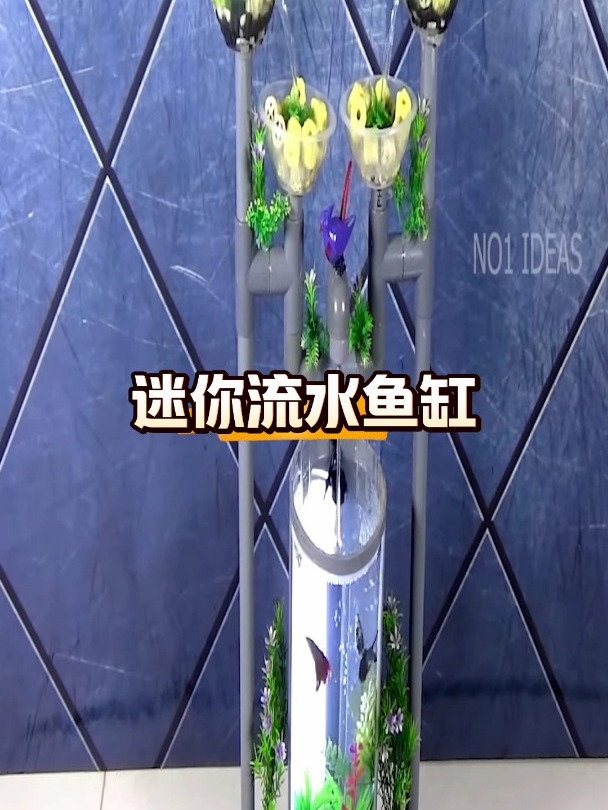 教你制作迷你流水鱼缸,好玩又有趣,快来试一试吧