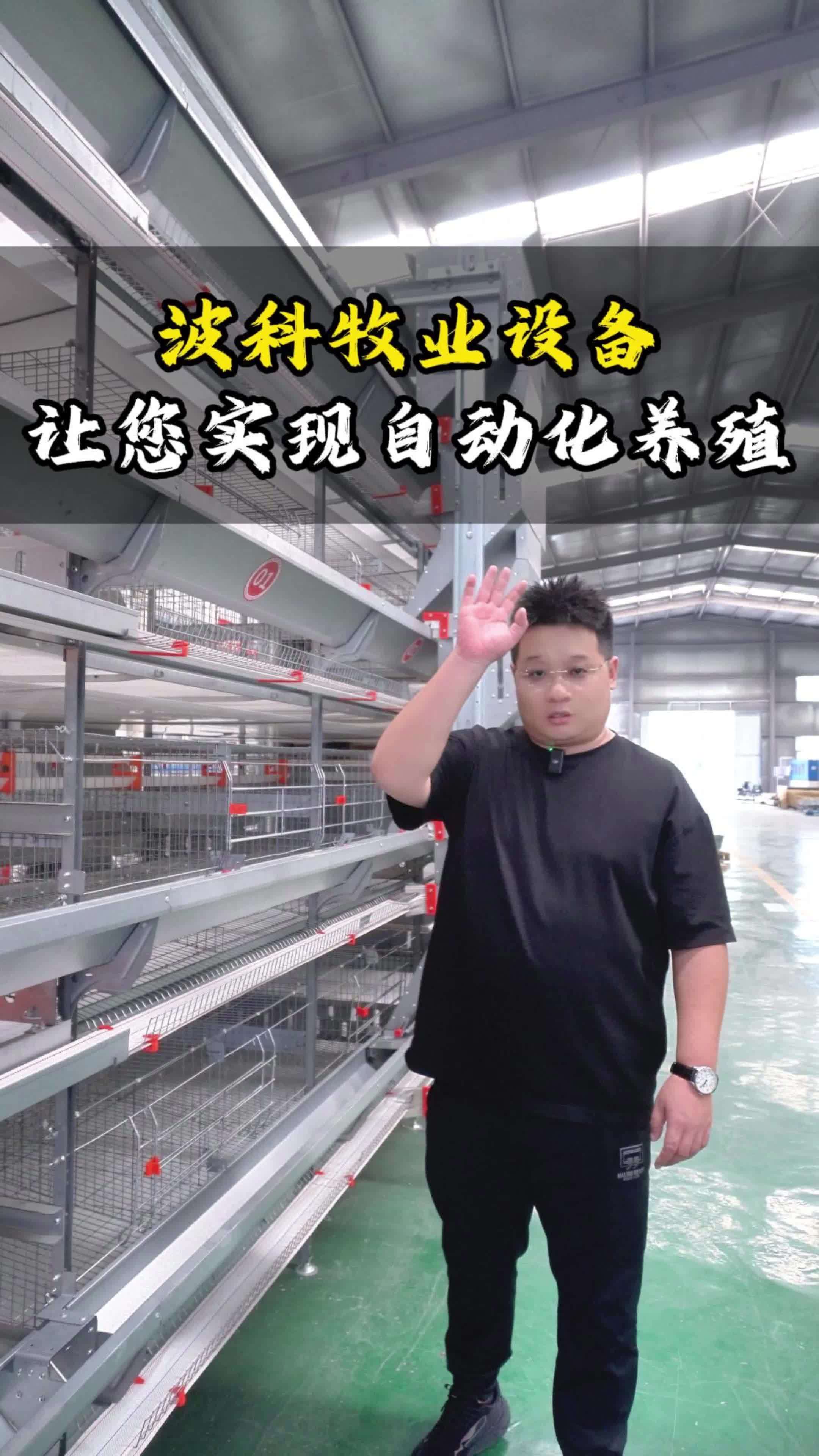 高效蛋鸡笼养设备,助力蛋品高产高质