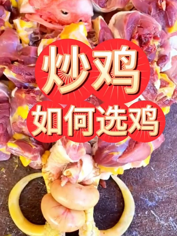 炒鸡选什么品种的鸡最合适