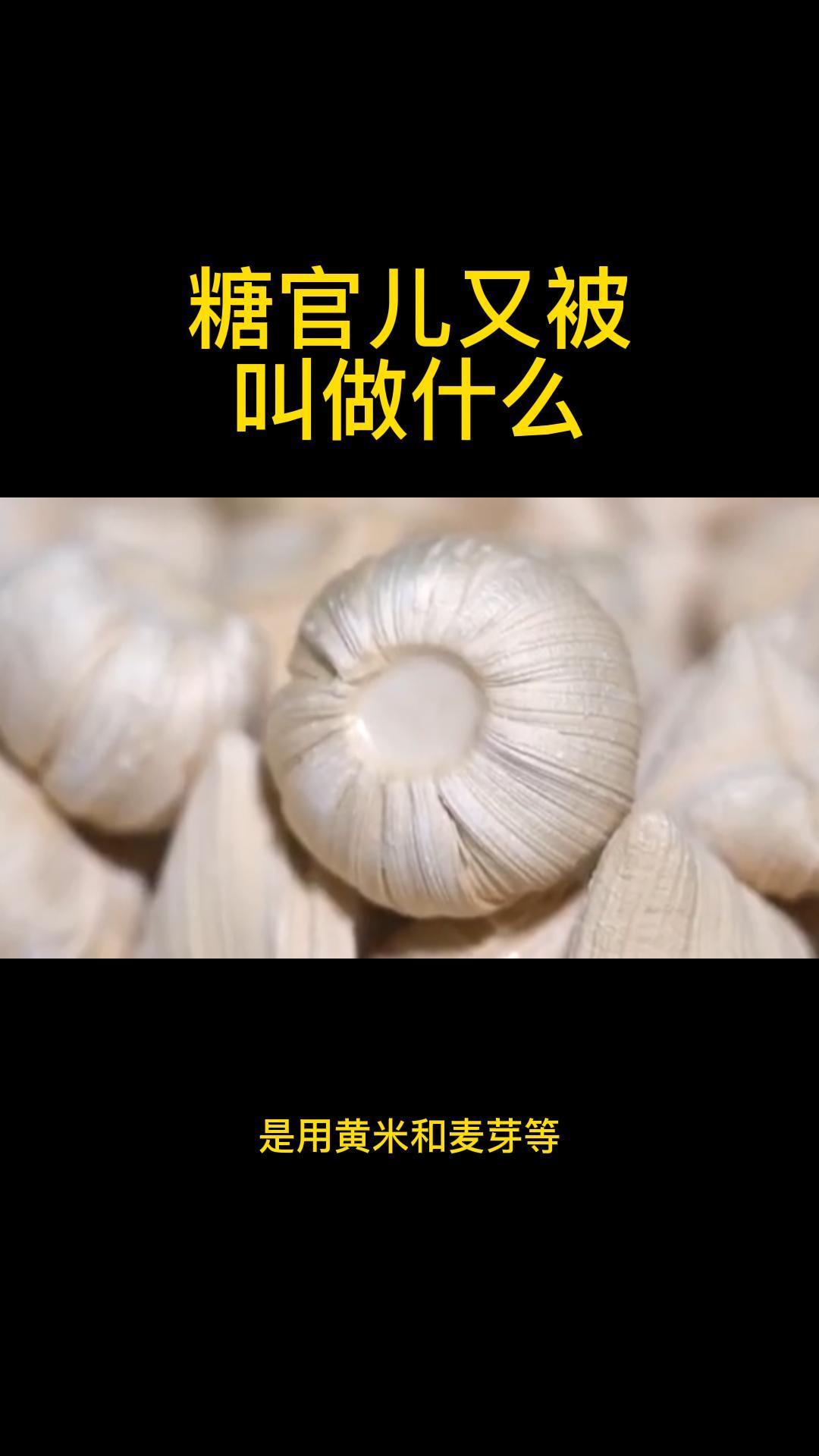 糖官儿又被叫做什么