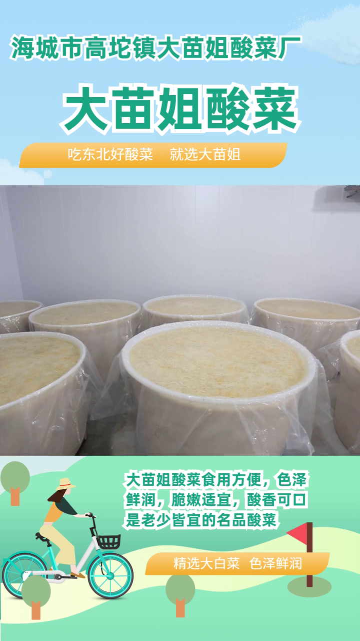海城袋装东北酸菜哪家好吃 盘锦市袋装酸菜 沈阳市正宗东北酸菜