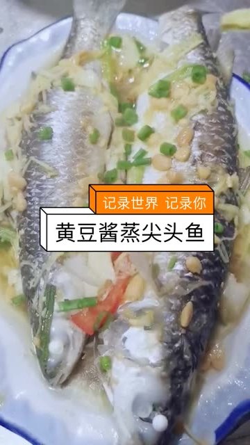 黄豆酱蒸尖头鱼快来试试吧