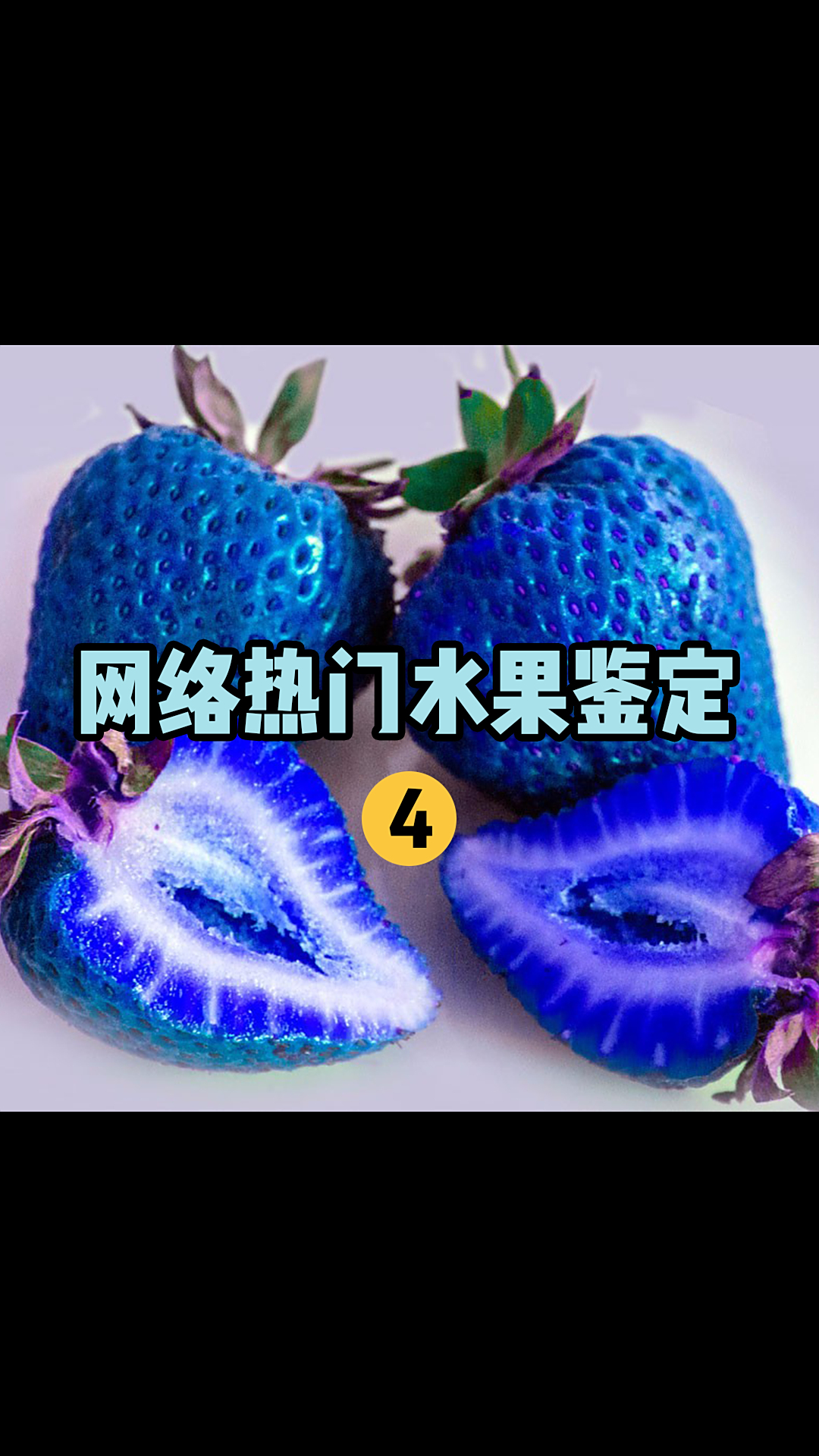 「水果猎人」蓝色草莓真的存在吗?