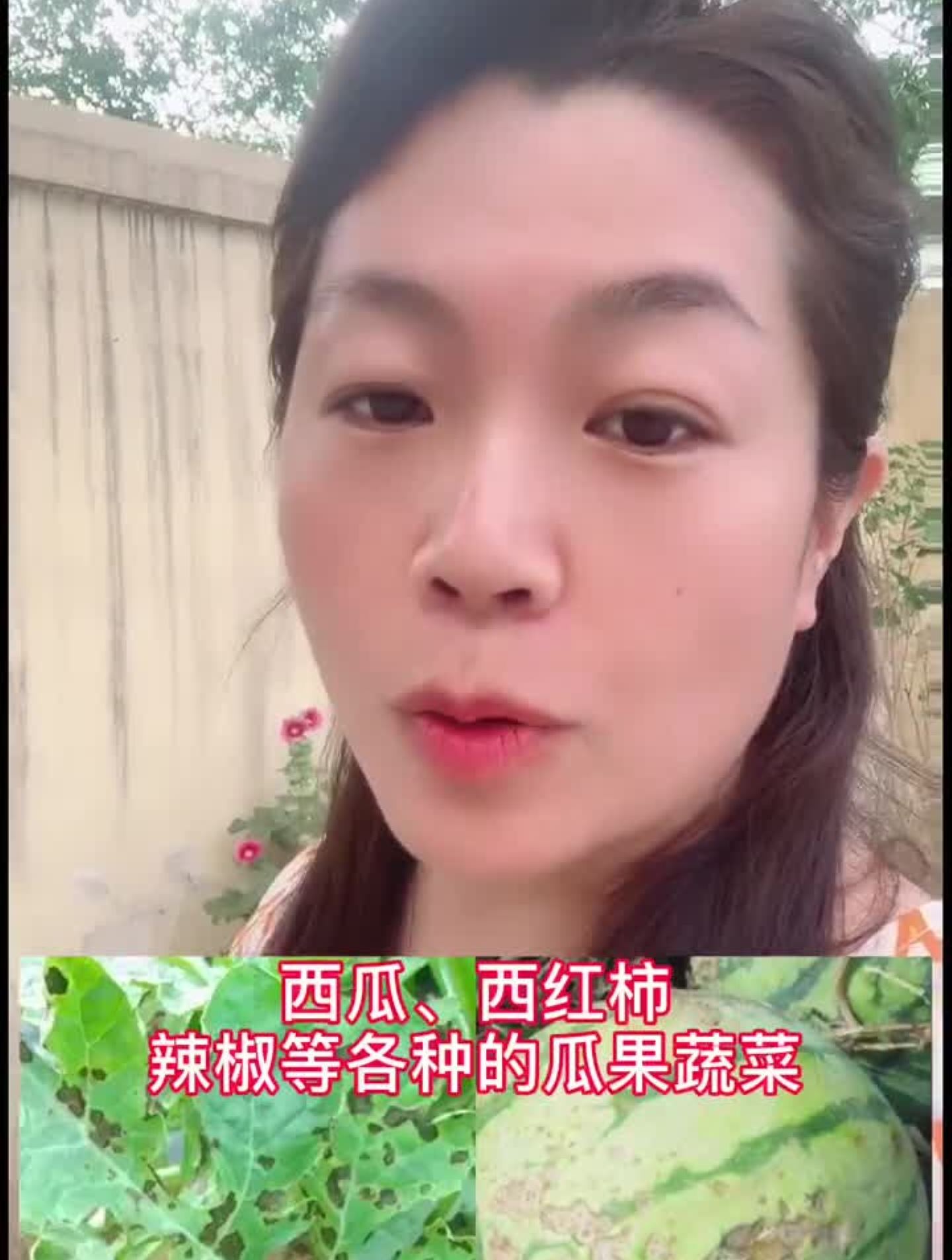 炭疽病按我这个方法来防治