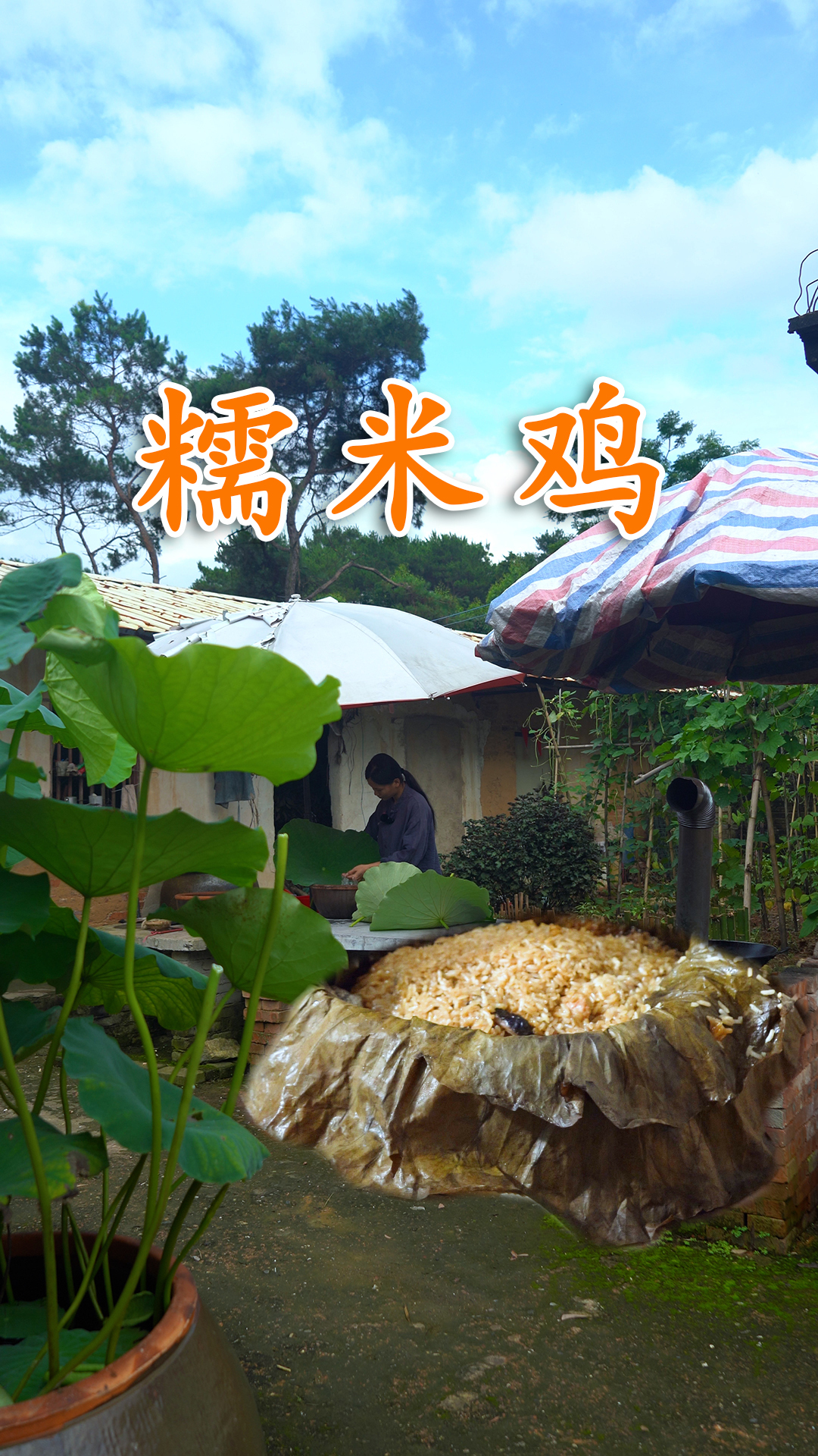 在院子里摘几片荷叶,做一份超大号的糯米鸡,儿子很喜欢