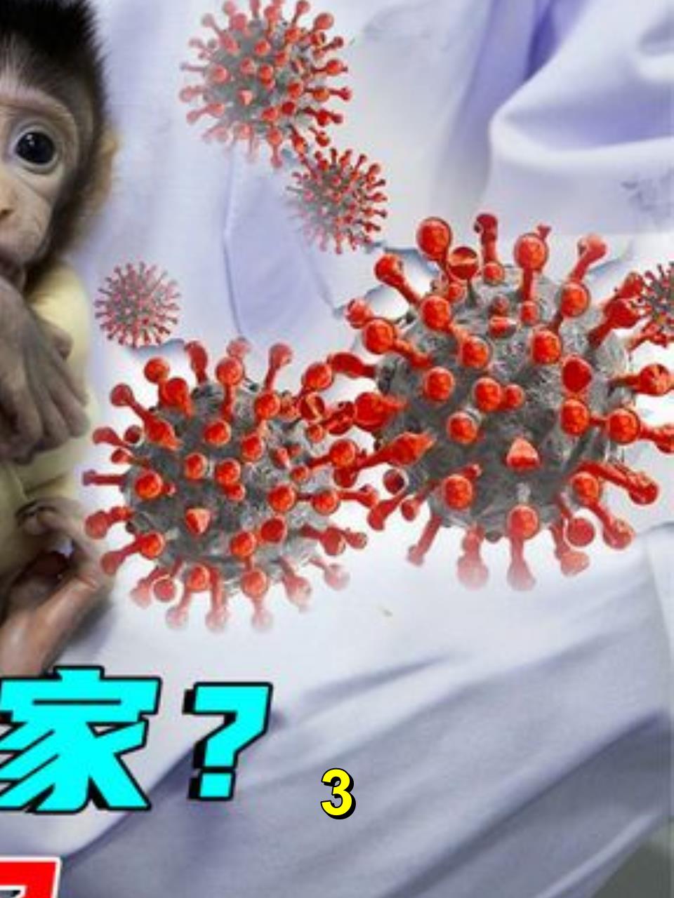 欧洲爆发“猴痘病毒”,死亡率高达11%,人体感染后有哪些症状?3