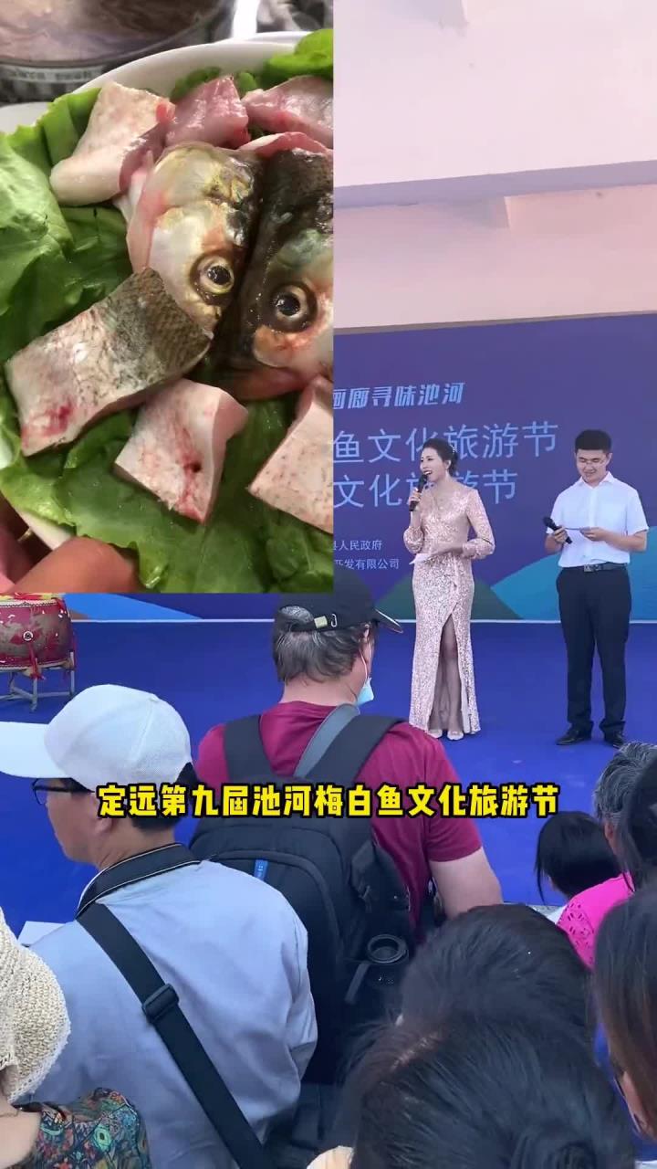 你们知道梅白鱼是哪种鱼吗?