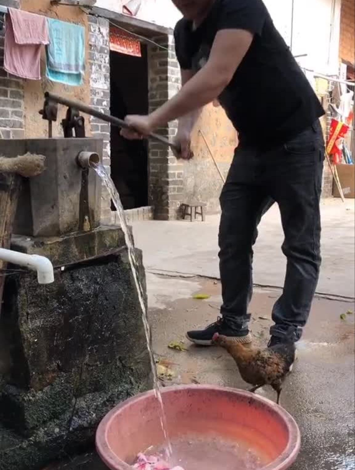 第一次做猪脑壳,汤特别鲜美,清甜,肉非常的细嫩,特别适合