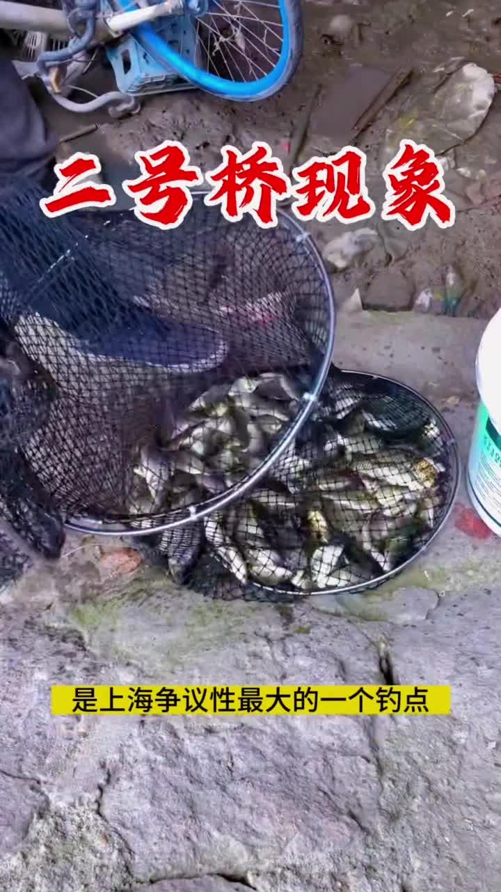 钓点分享钓鱼人钓鱼人就是这么疯狂真实户外天然黑坑