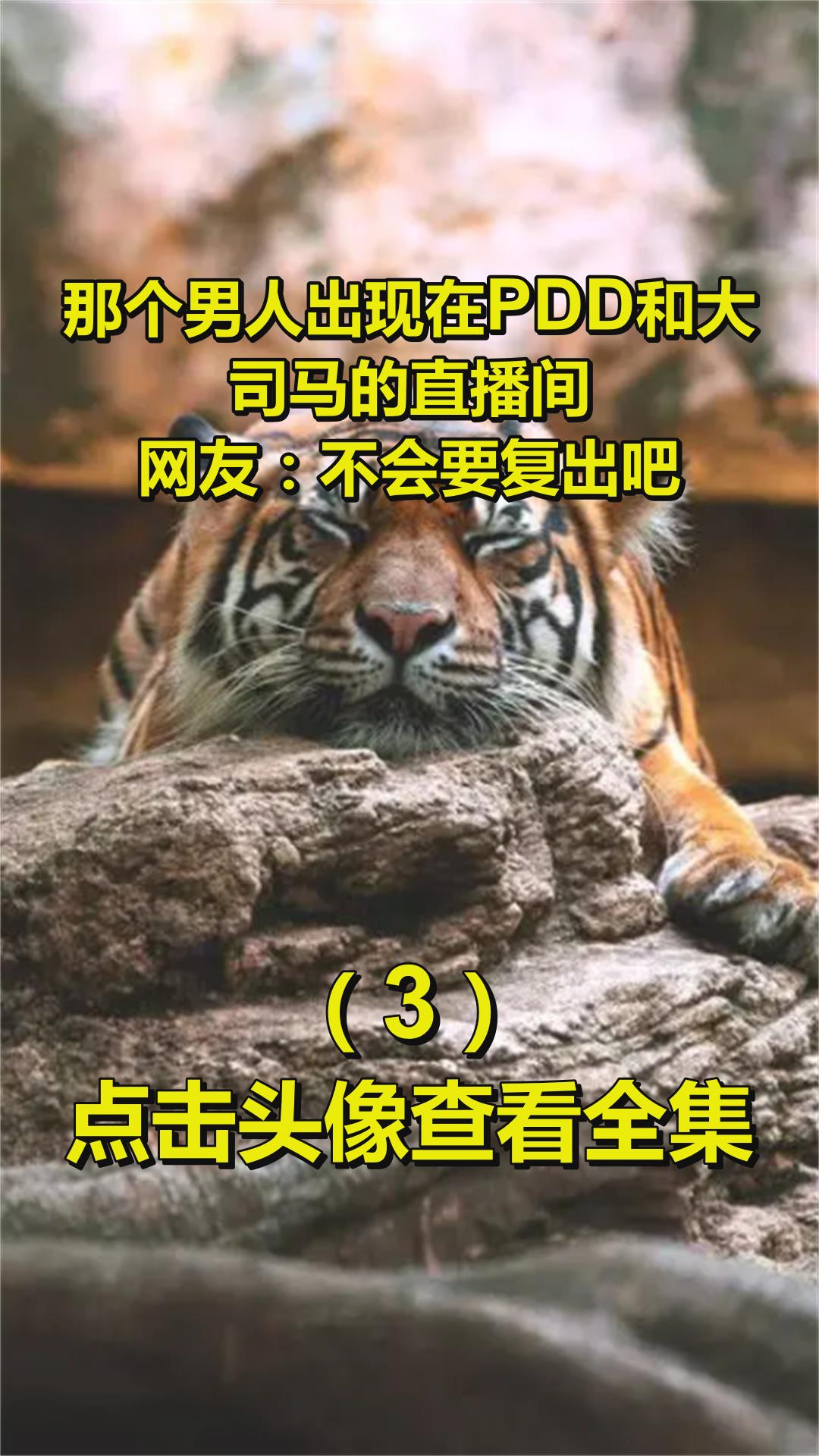 那个男人出现在PDD和大司马的直播间?网友:不会要复出吧3