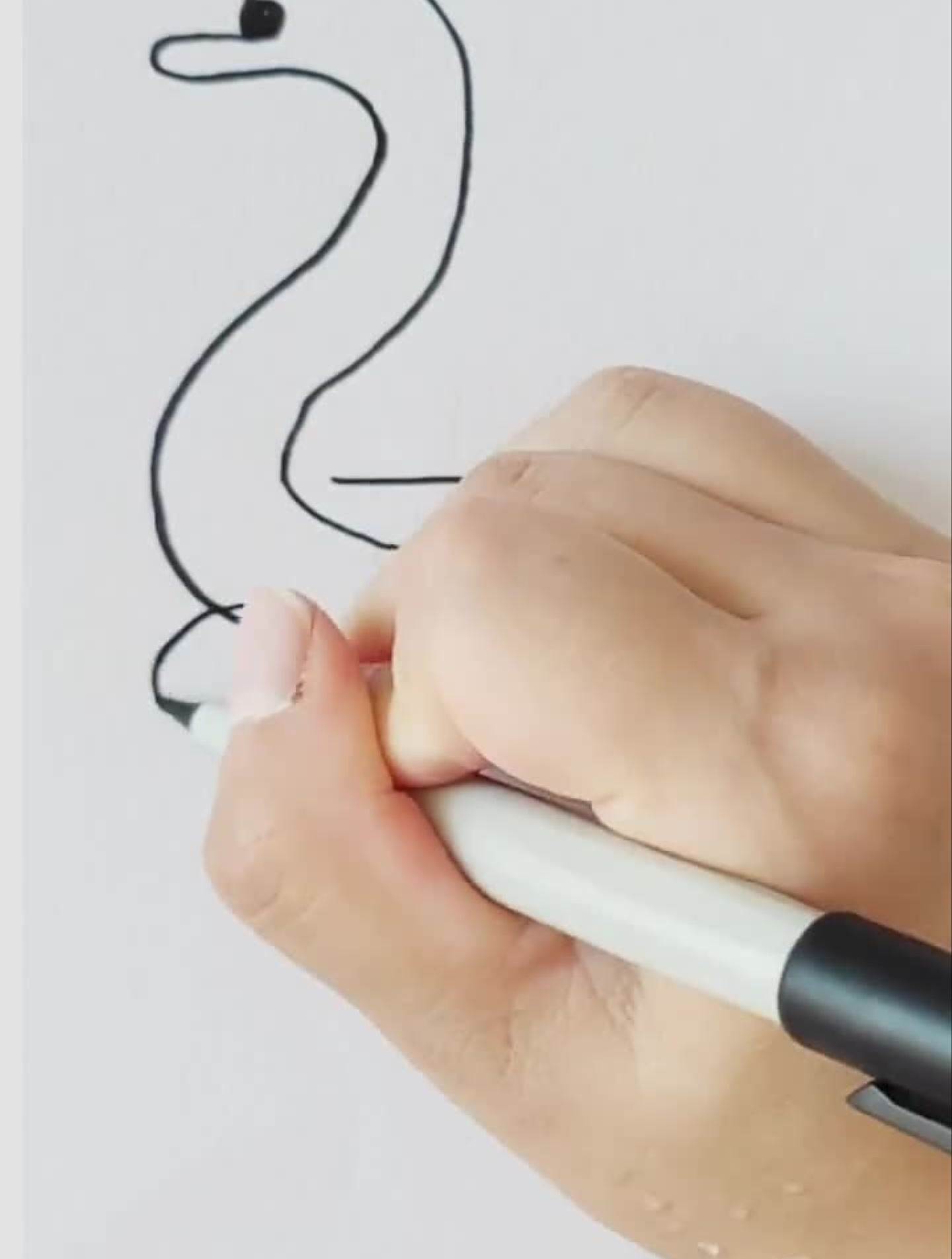 一笔画天鹅简笔画画画儿童画幼儿简笔画