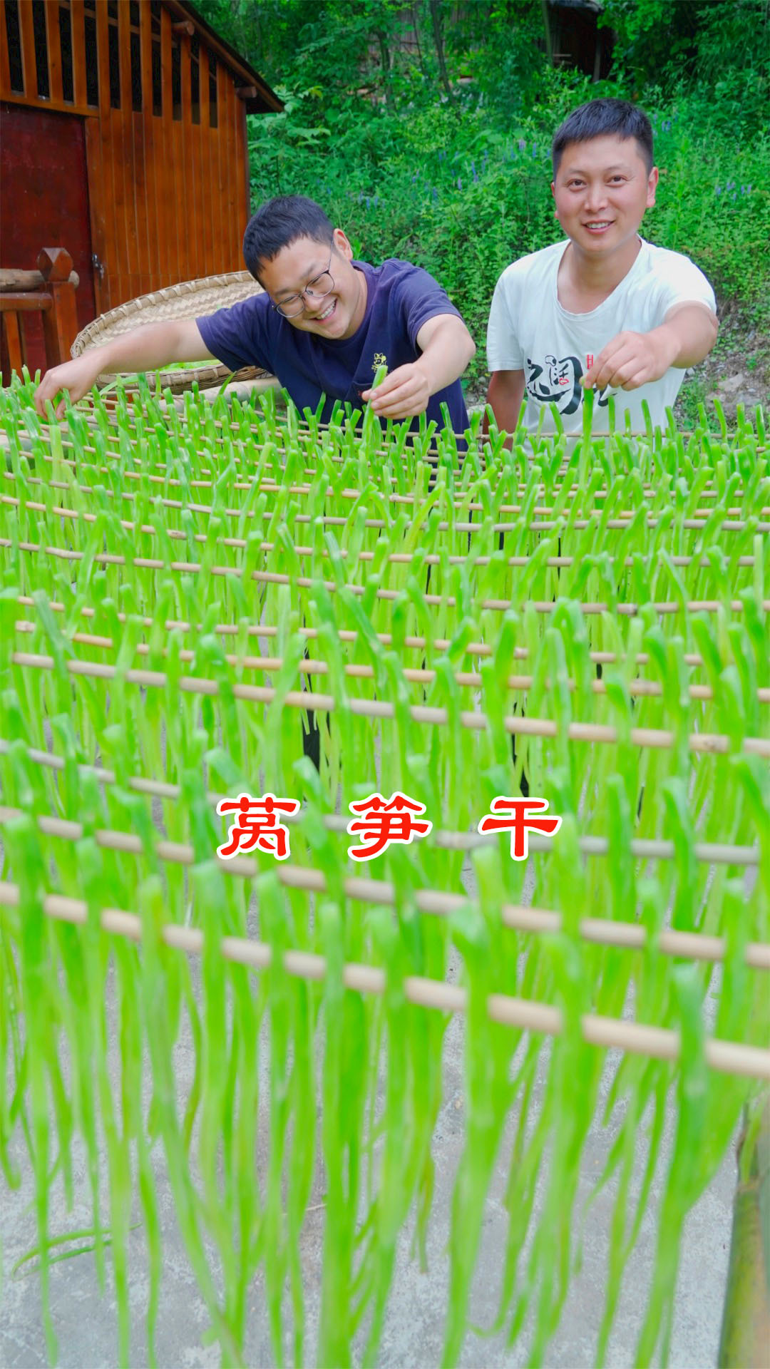 贡菜是莴笋做的吗?砍100斤莴笋来解锁一下!