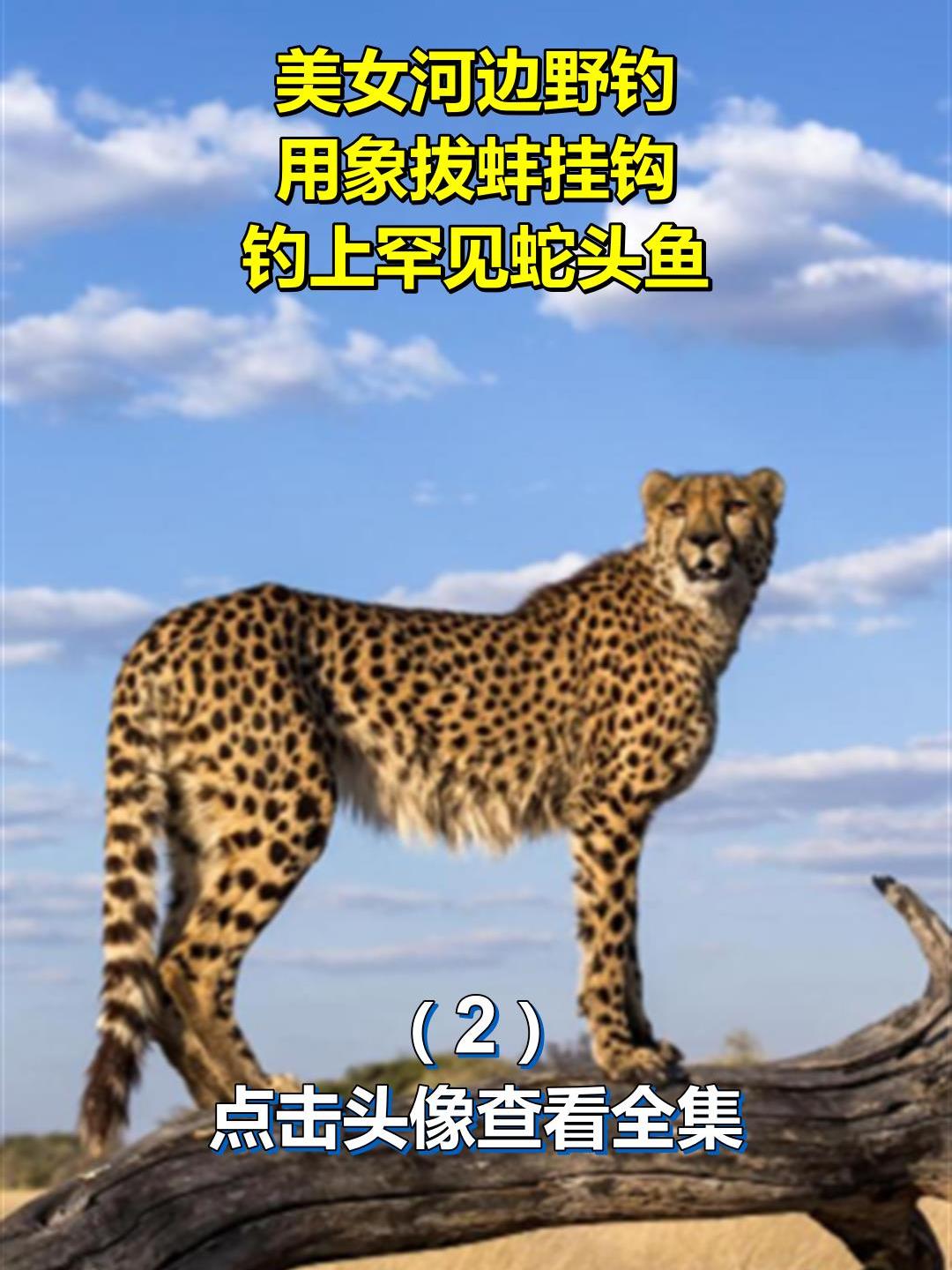 美女河边野钓,用象拔蚌挂钩,钓上罕见蛇头鱼!2