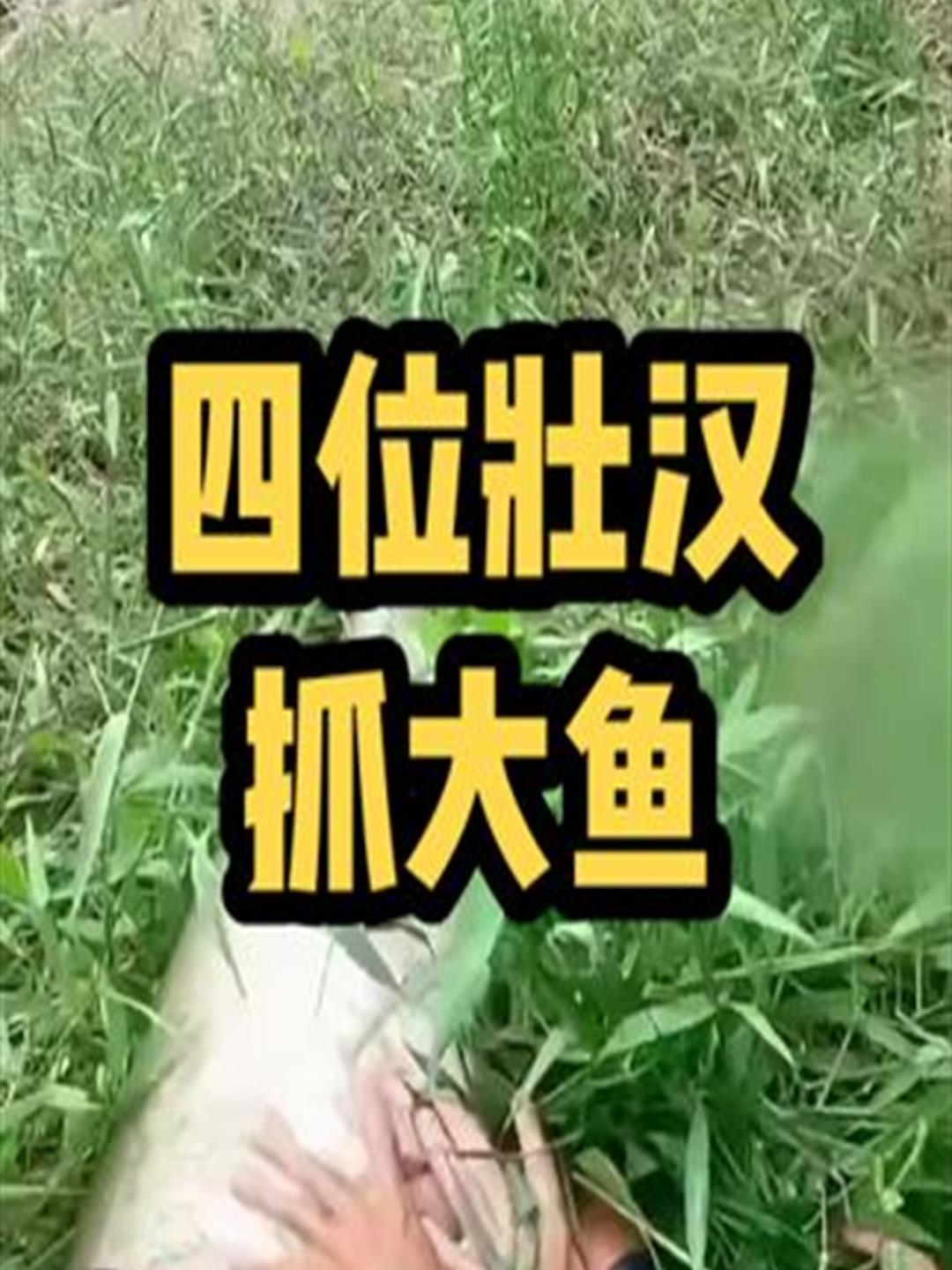 小男孩用自制的鱼竿挂上活鱼,钓了三条大鱼,收获满满2