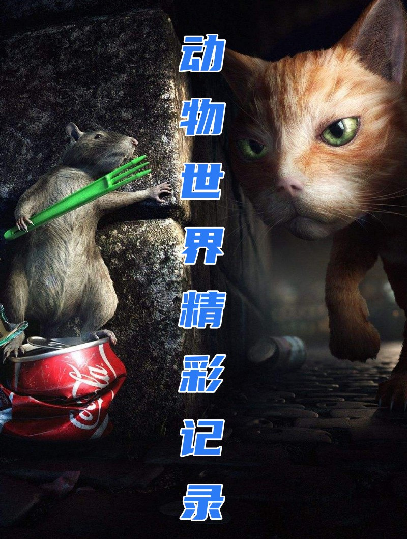 飞龙蜥蜴为了食物,勇敢挑战狮群,差点被雄狮一口吞掉