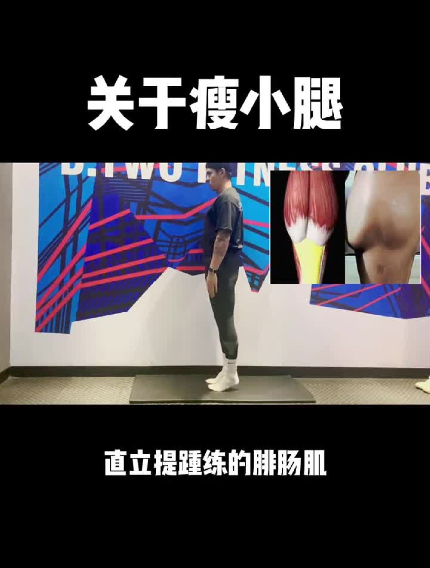 腓肠肌会让你小腿更加粗壮要锻炼下面的比目鱼肌松解