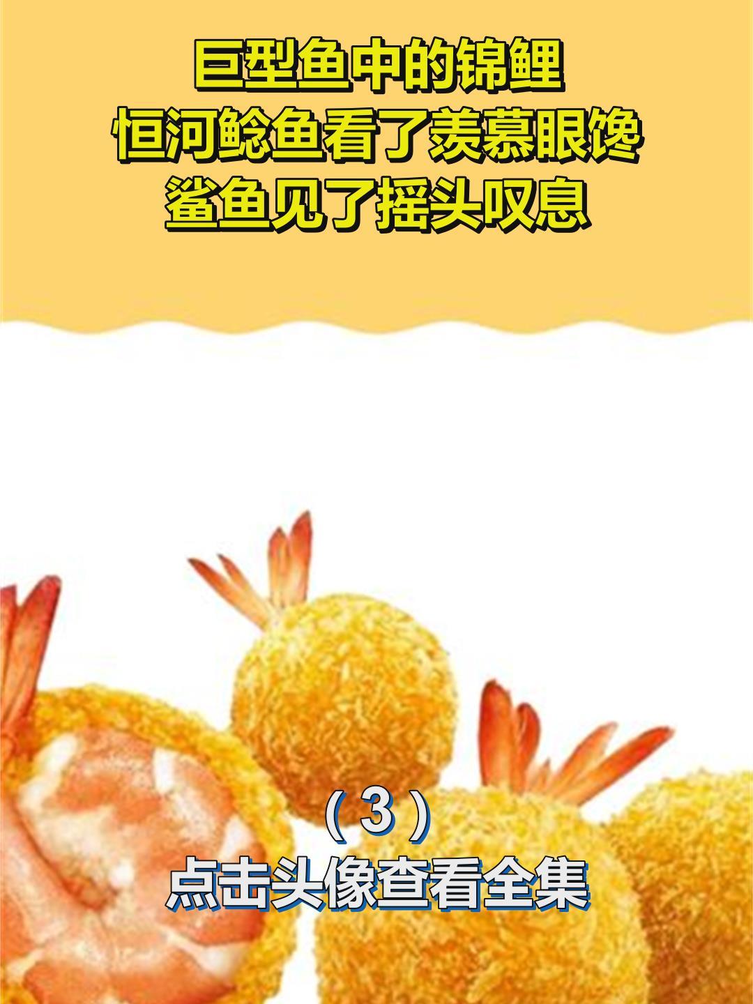 巨型鱼中的锦鲤,恒河鲶鱼看了羡慕眼馋,鲨鱼见了摇头叹息3