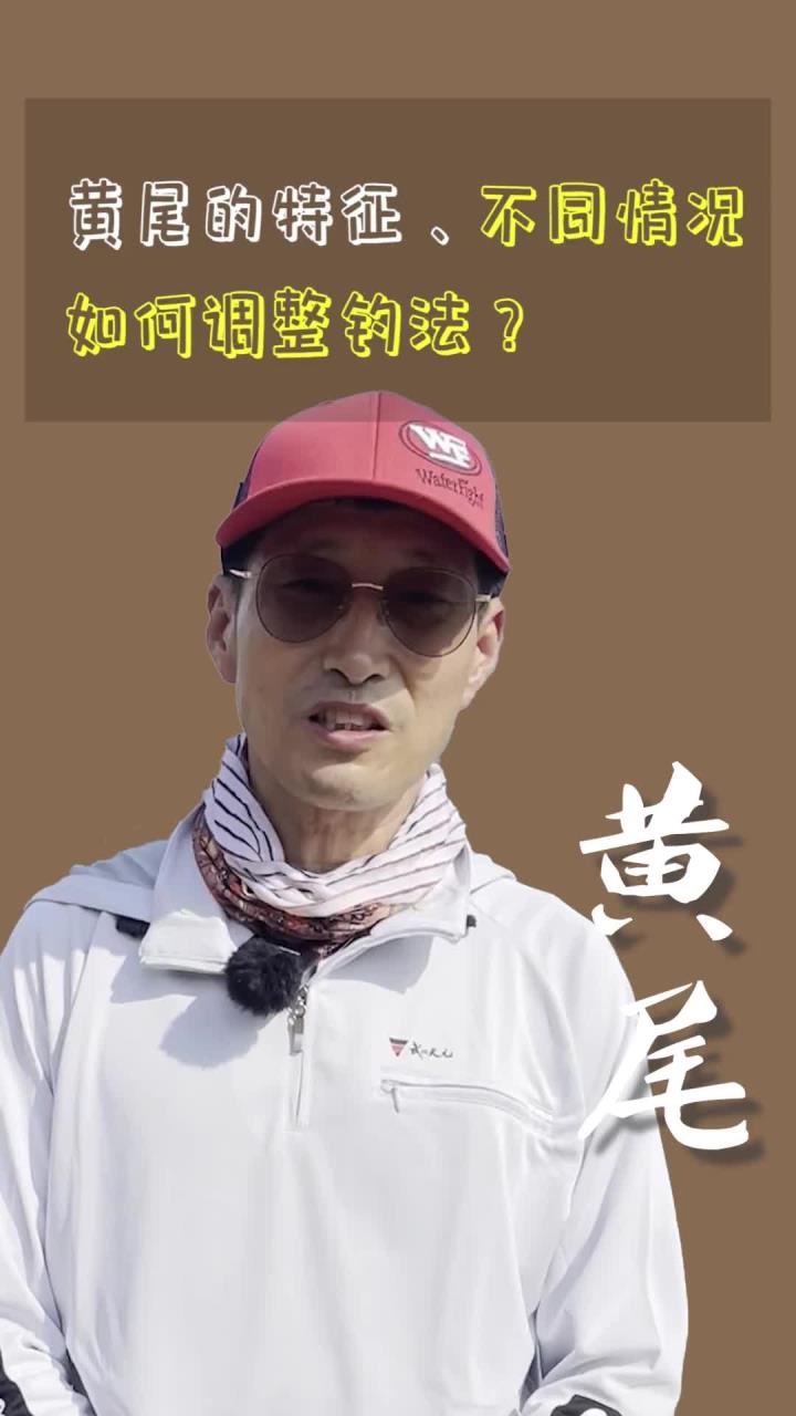 钓黄尾,不同情况下如何调整钓法