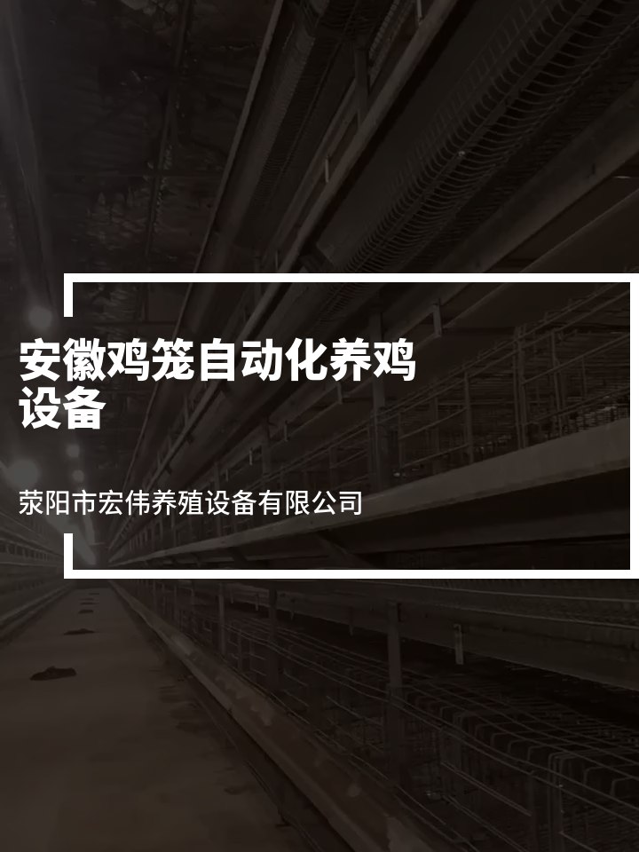 安徽鸡笼自动化养鸡设备 鸡舍笼子 蛋鸡养殖机械 层式鸡笼