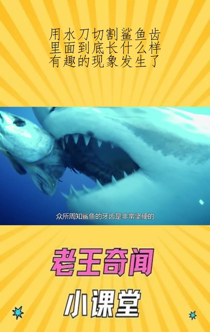 用水刀切割鲨鱼齿,里面到底长什么样?有趣的现象发生了