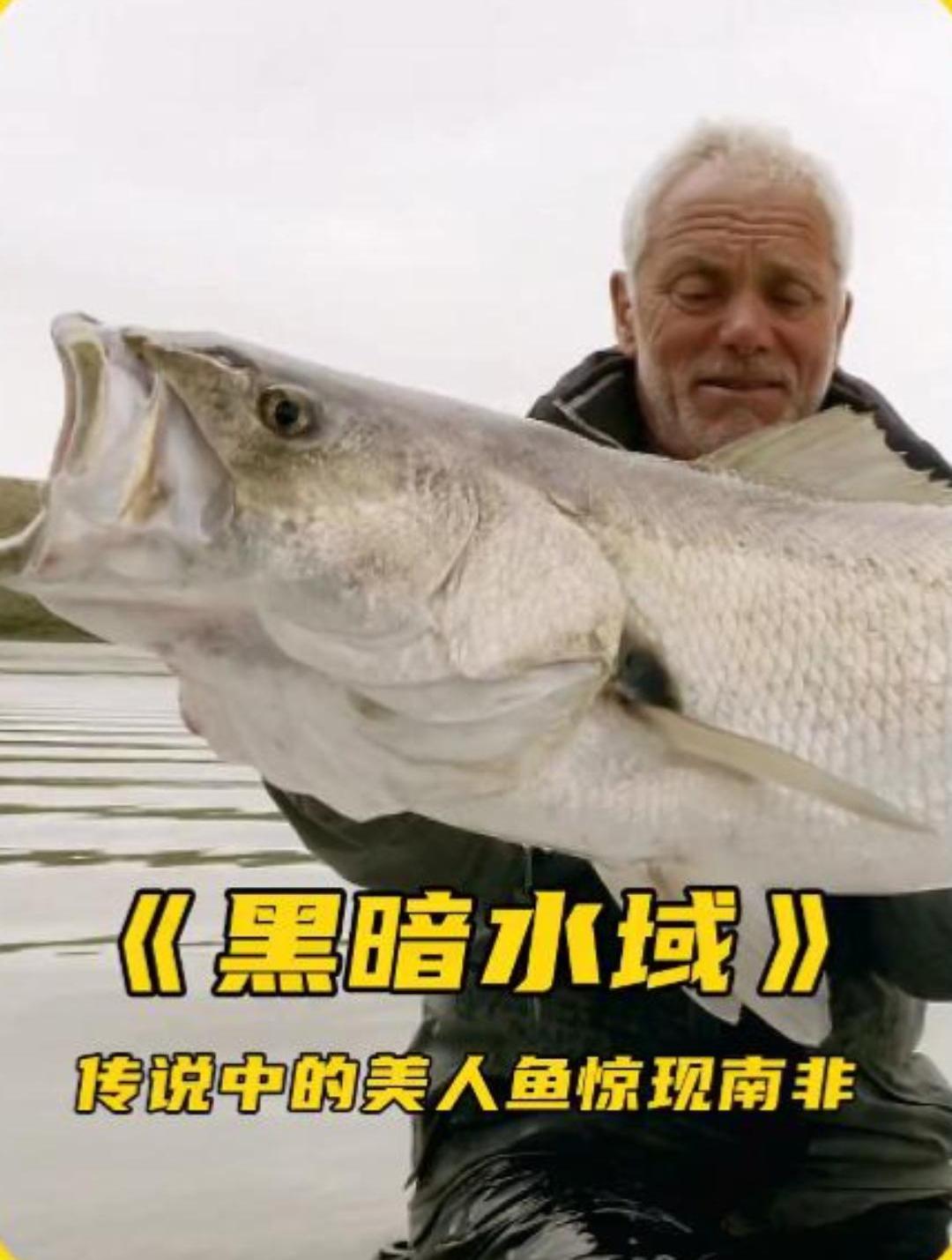 男子夜晚河边遇见人鱼吓破胆,杰里米南非调查真相钓起大鱼