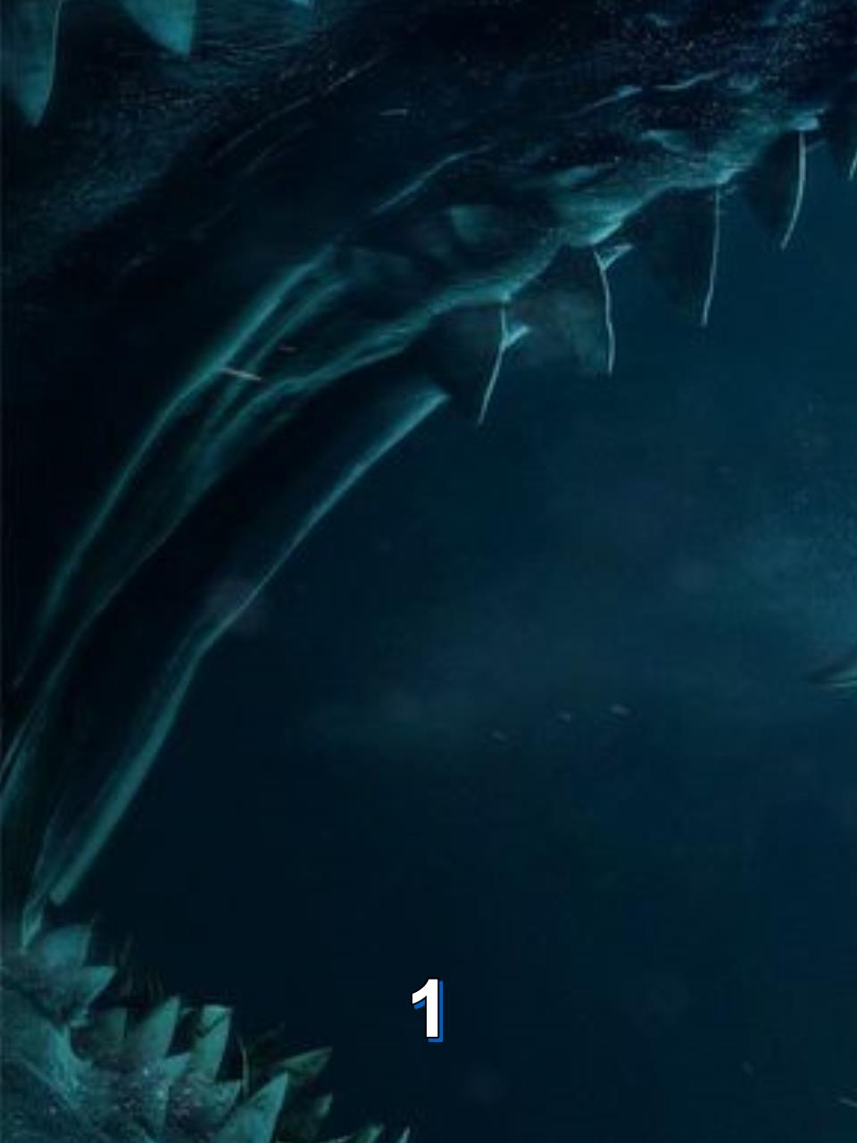 所有鲨鱼的大小排名,来看看你认识几种1