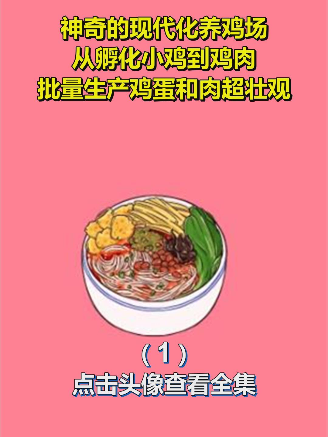 神奇的现代化养鸡场!从孵化小鸡到鸡肉