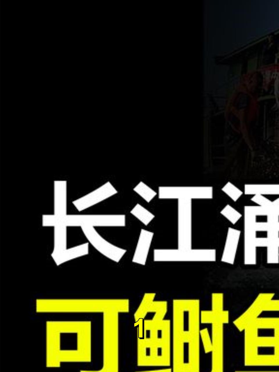 长江禁渔两年半,江面竟涌出大群鲢鱼,可鲥鱼却始终难觅踪迹1