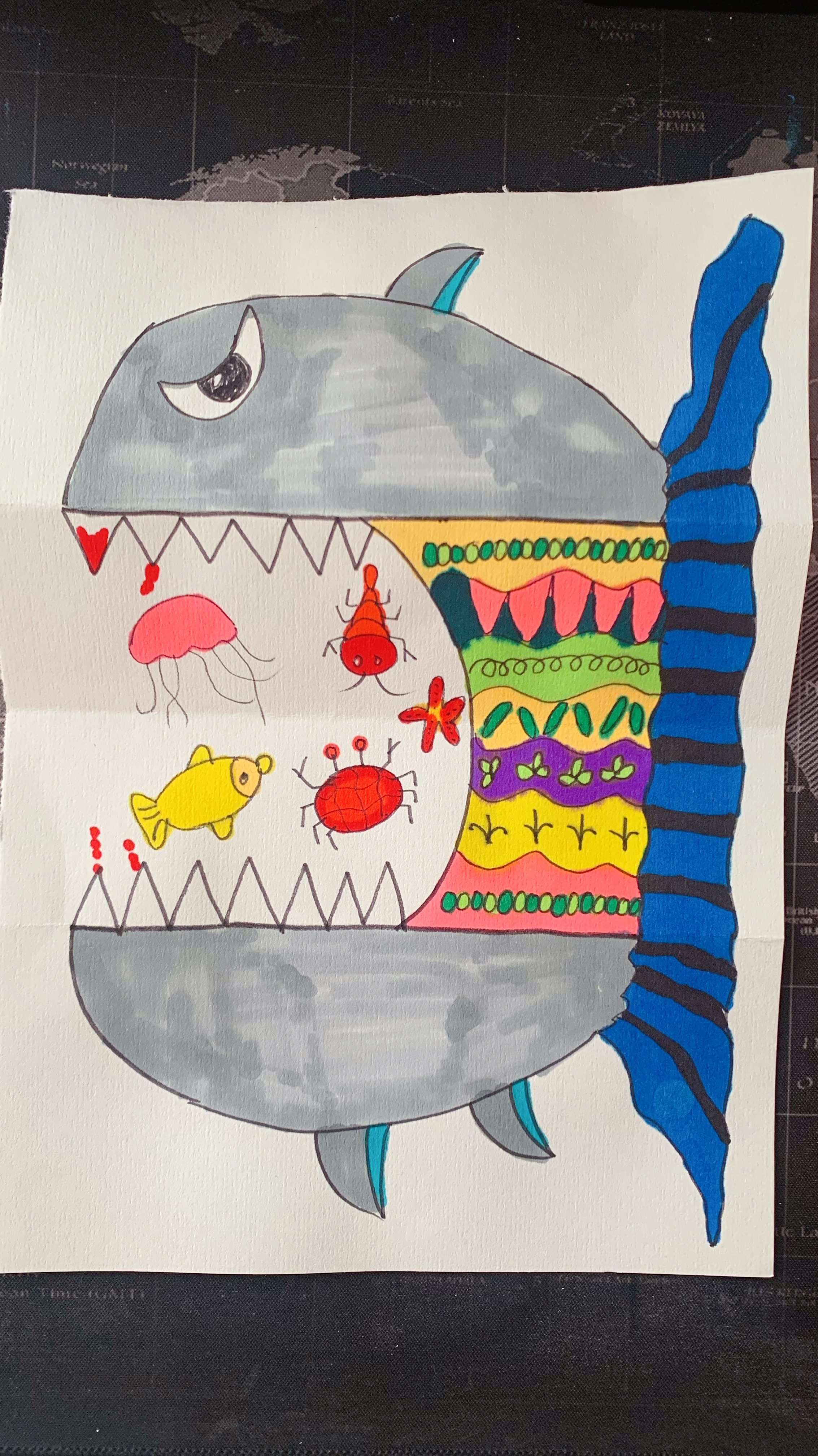 画一个可以张开嘴巴的大鲨鱼,儿童画