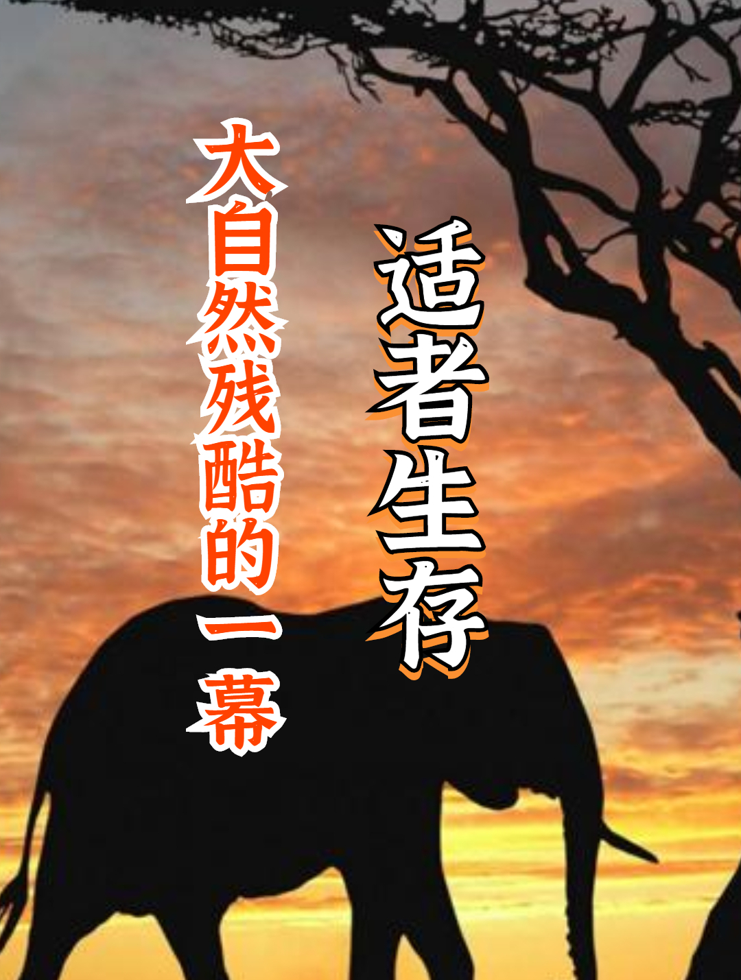 小哥河塘捞鱼,意外收获巨骨舌鱼,这大鱼一般人都认不出来!(2)