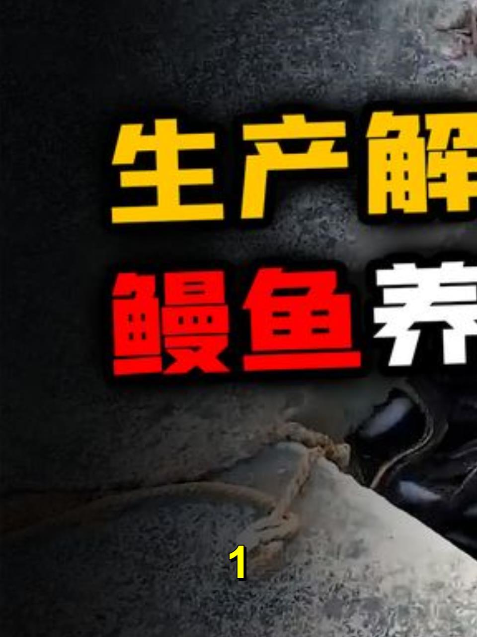 既不能繁殖,也无法人工孵化的鳗鱼,原来是这样养殖的1