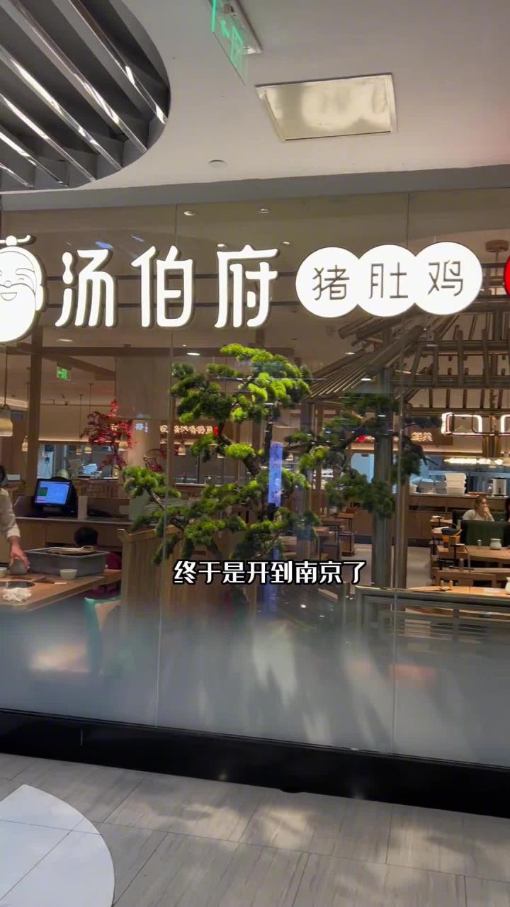 喝上了家人们!巨美味的猪肚鸡火锅,你一定要喝三大碗!