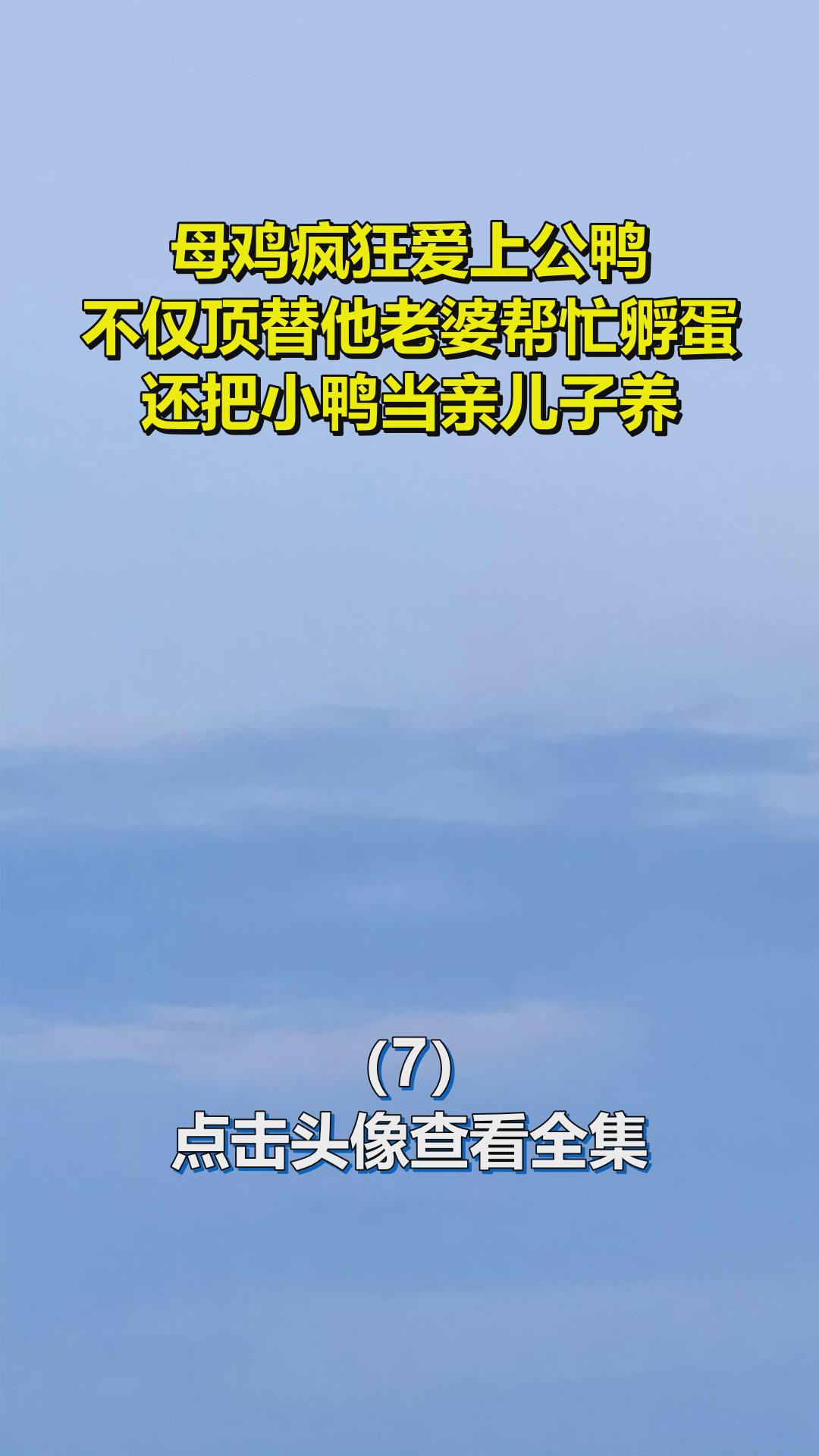 母鸡疯狂爱上公鸭,不仅顶替他老婆帮忙孵蛋,还把小鸭当亲儿子养7