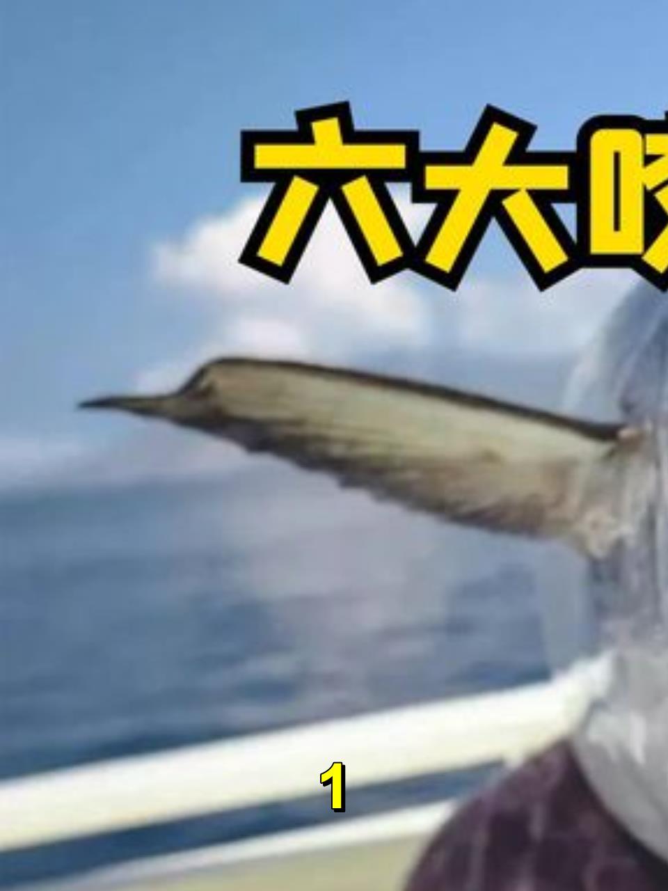 六大咬合力大的鱼类,狼鱼1