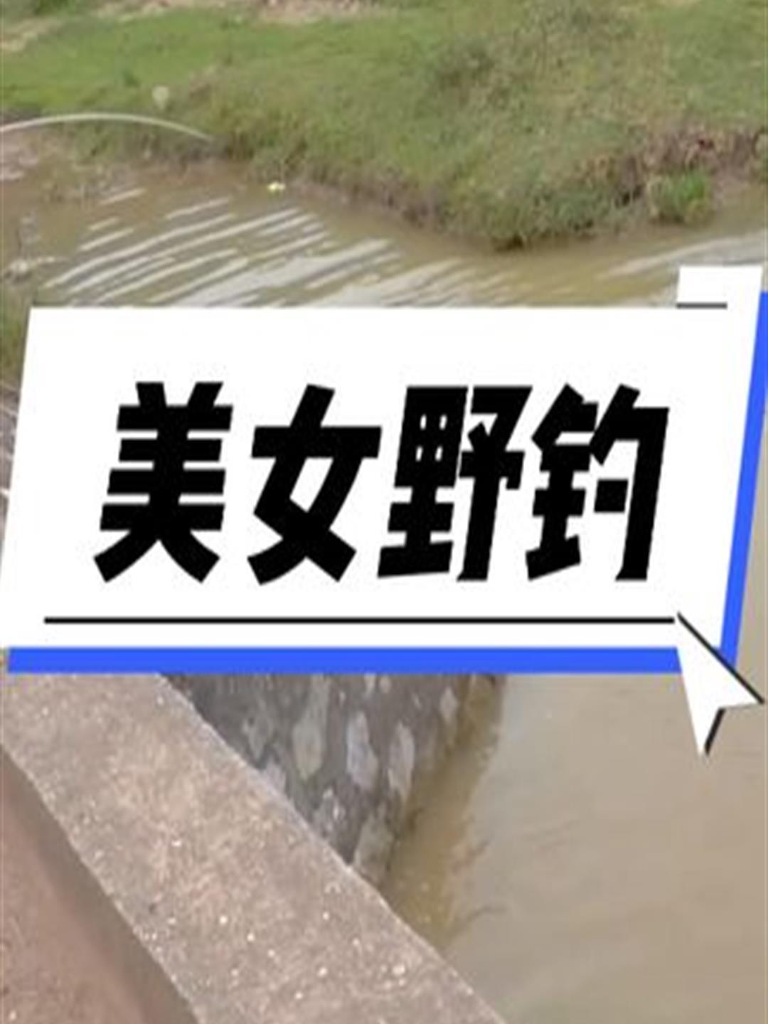 美女桥洞下野钓大青鱼,选的钓点非常特别3