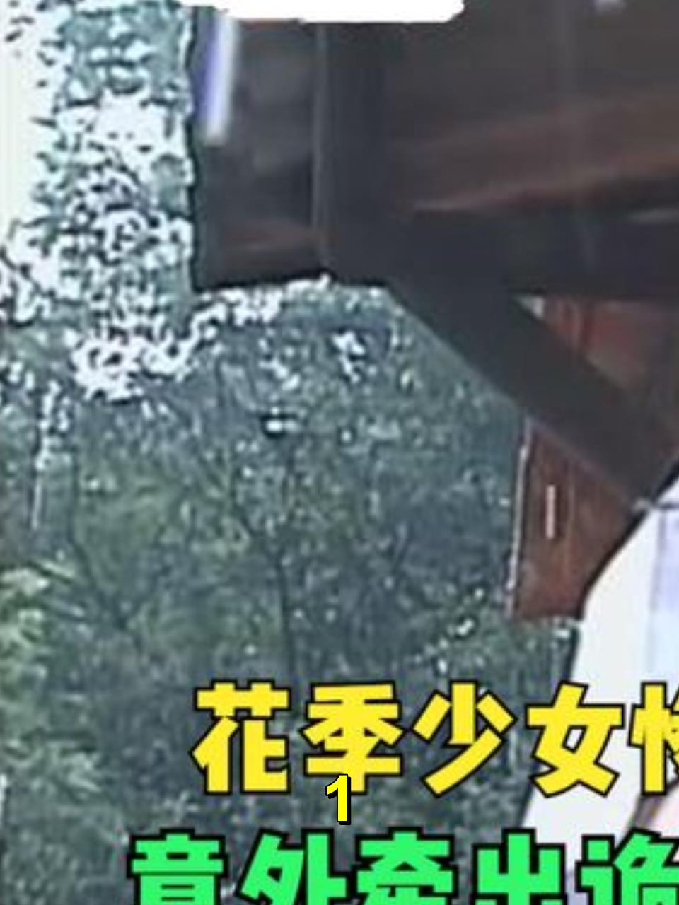 花季少女被人收养,惨遭非人折磨,意外牵出诡异案中案,犯罪片1