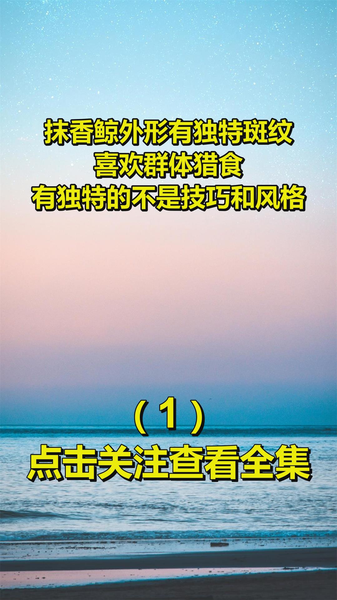 抹香鲸外形有独特斑纹,喜欢群体猎食,有独特的不是技巧和风格1