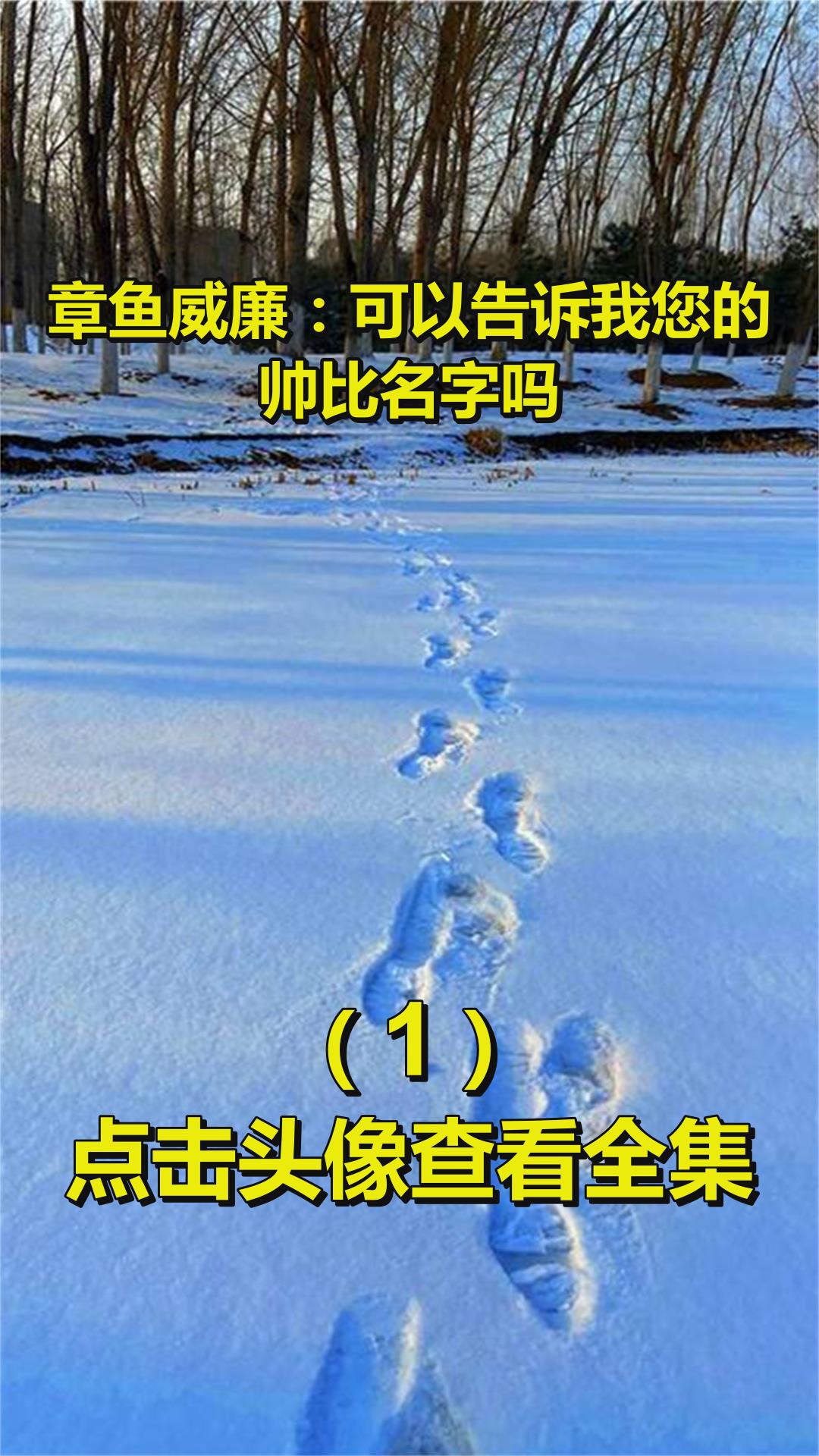章鱼威廉:可以告诉我您的帅比名字吗?1